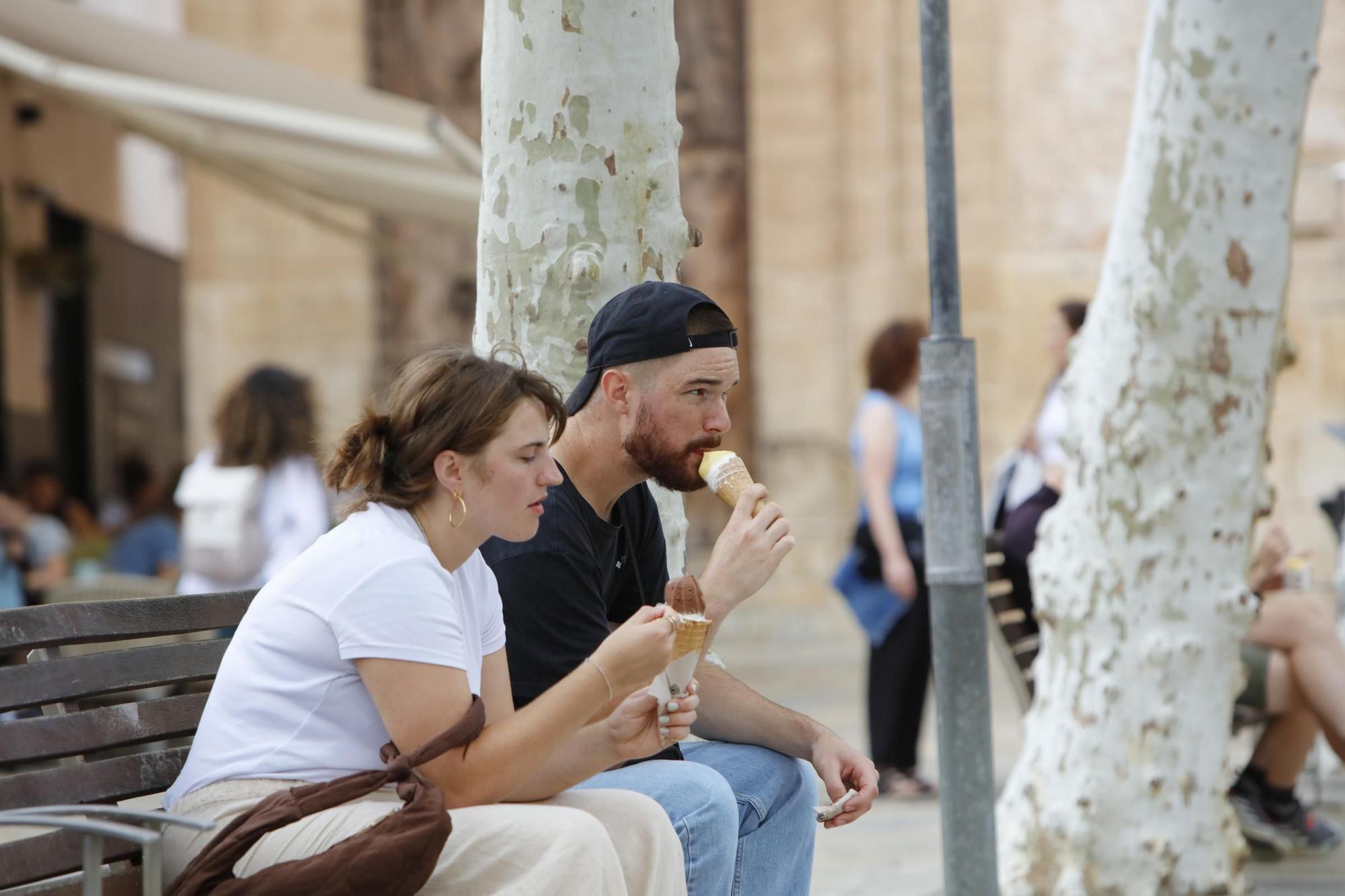 Auch bei Regen auf Mallorca einen Besuch wert: Pollença ist Mitte September voller Leben