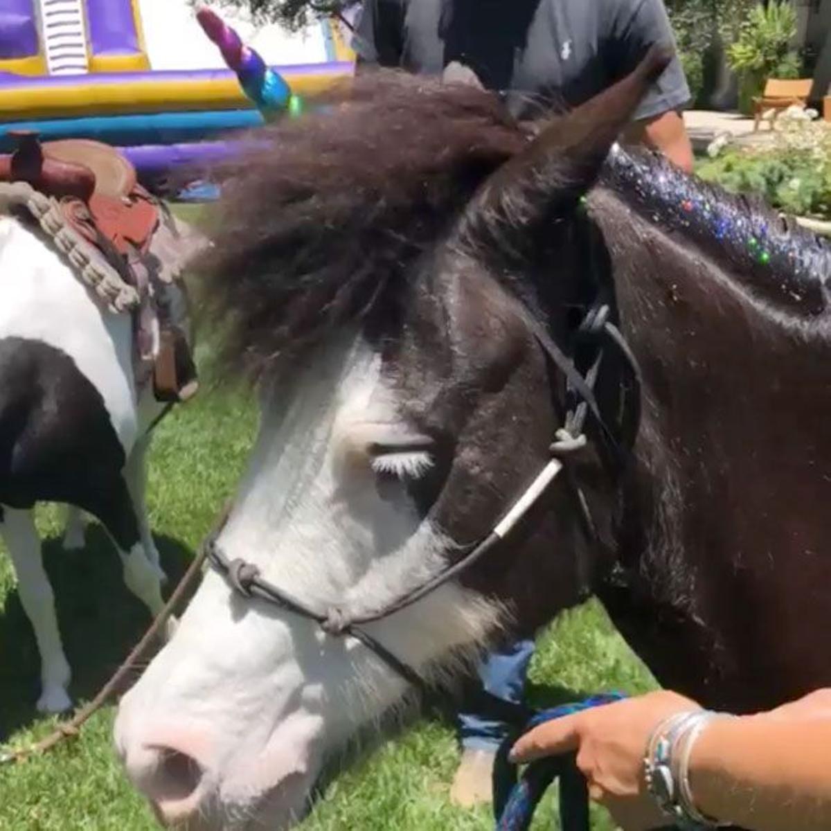 Unicornios de la fiesta de las Kardashian