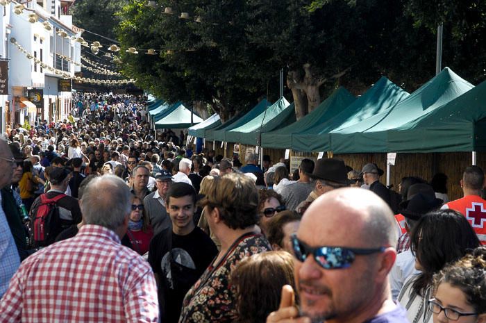 DIA DEL TURISTA. FIESTA DEL ALMENDRO EN FLOR EN ...