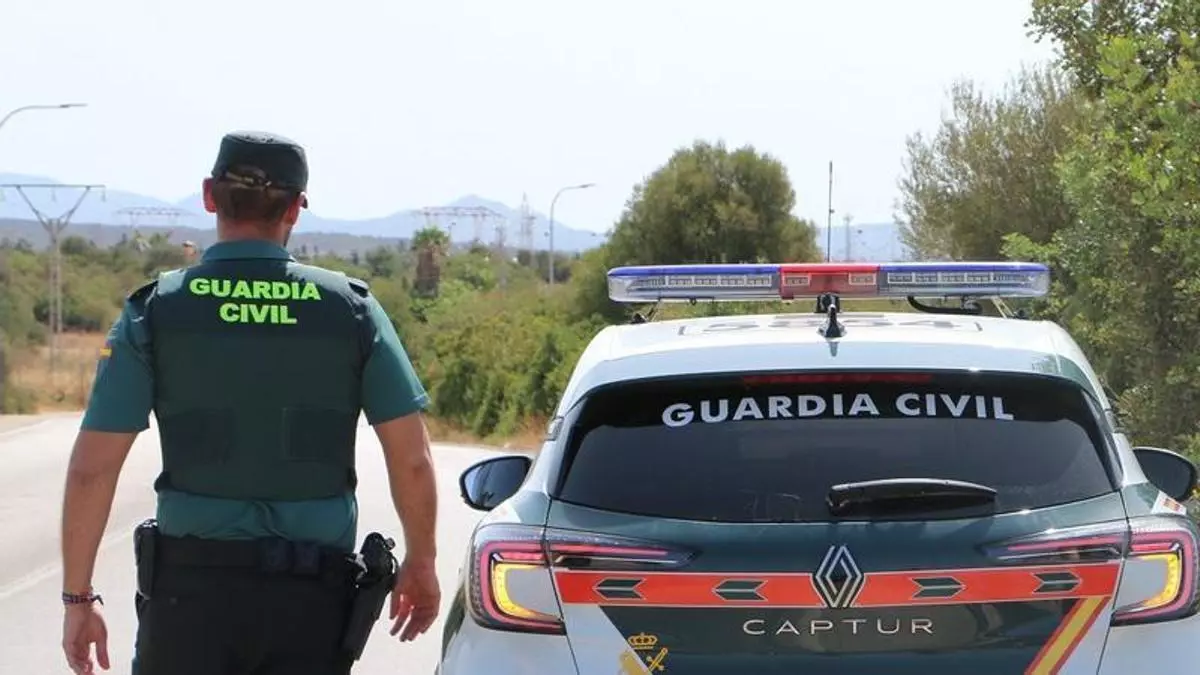 Investigadas tres personas por una trama de estafas en la compraventa de gatos por internet