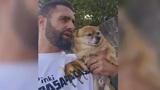 De escapista a solidario: Pinki, el perro gallego que se hizo viral por plantarse en la plaza del pueblo