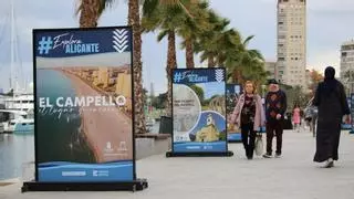 Qué son los carteles que han aparecido en el puerto de Alicante