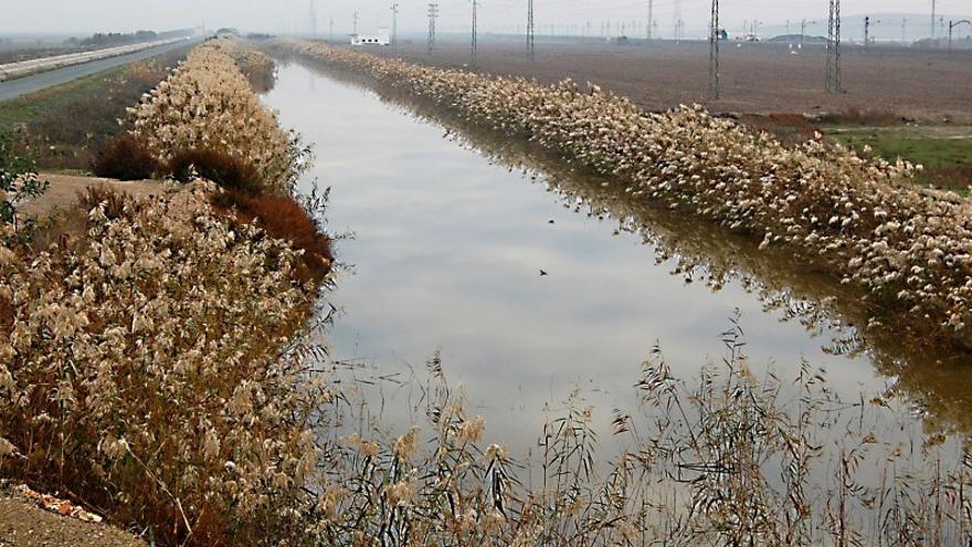 El muerto en un canal de Lebrija (Sevilla) es un joven de 19 años que habría podido caer al agua al desmayarse