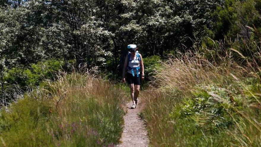 Una peregrina, realizando un tramo del Camino de Santiago.