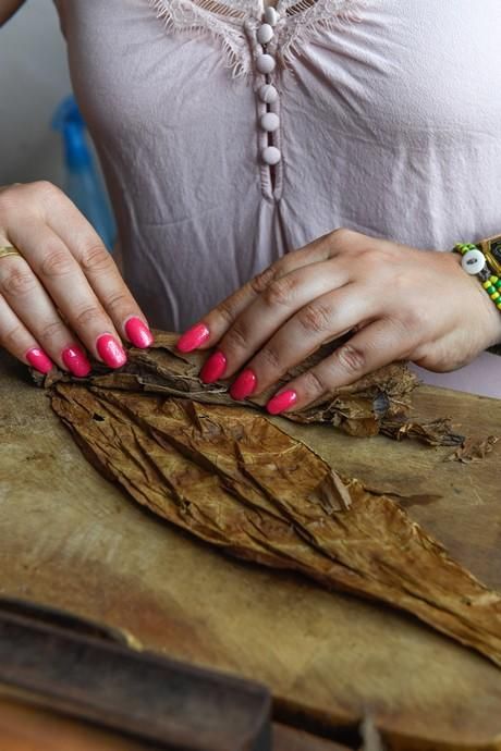 27-08-20  LAS PALMAS DE GRAN CANARIA. SCHAMANN. LAS PALMAS DE GRAN CANARIA.  Reportaje al único taller de puros artesanos que hay en la capital. El taller se llama Doble M y lo lleva Mercedes Martínez, ella es cubana y trae las hojas de tabaco desde la isla caribeña, todo lo hace a mano.  Fotos: Juan Castro.  | 27/08/2020 | Fotógrafo: Juan Carlos Castro