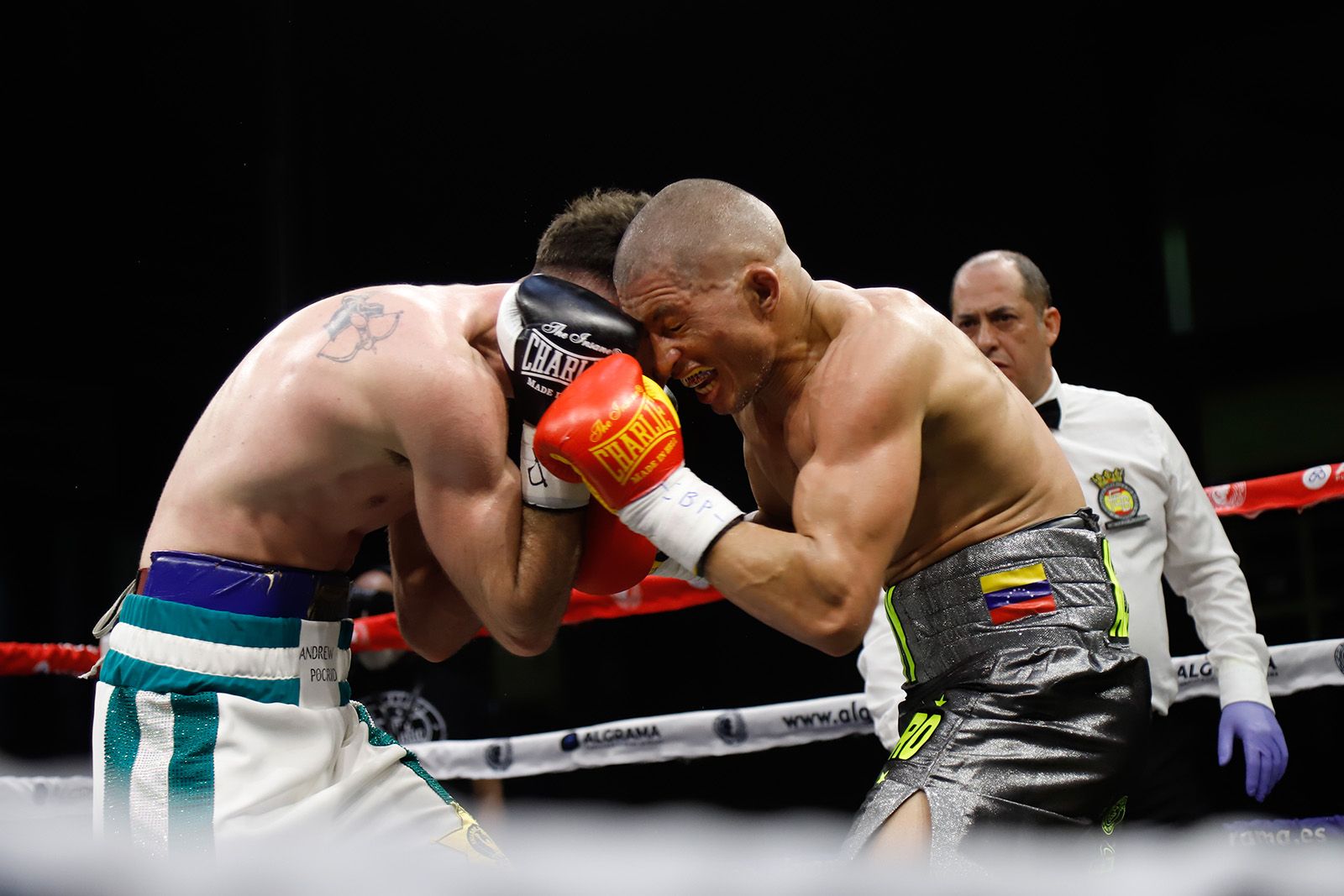 Las imágenes de El Cazador Jr. en su combate en Vista Alegre