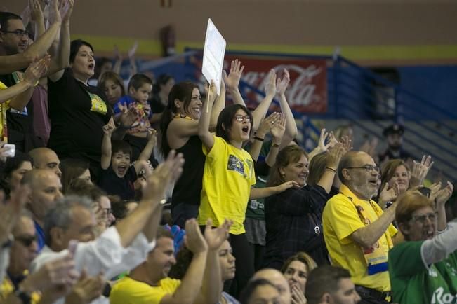 Rocasa Remudas campeón Copa EHF Challenge