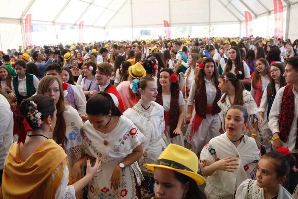 Ambiente en La Repanocha durante el Bando de la Huerta 2018