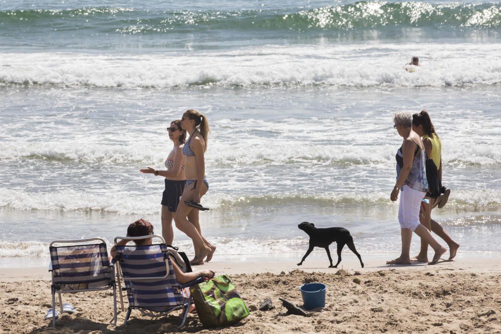 Veraneantes y visitantes en las playas de l'Horta.