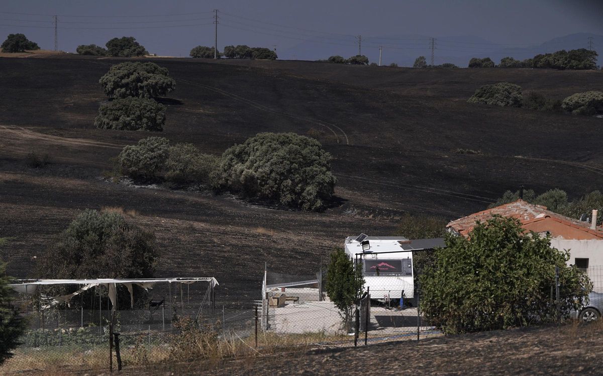 Los alrededores de la finca de José Manuel en Méntrida (Toledo) arrasados por las llamas.