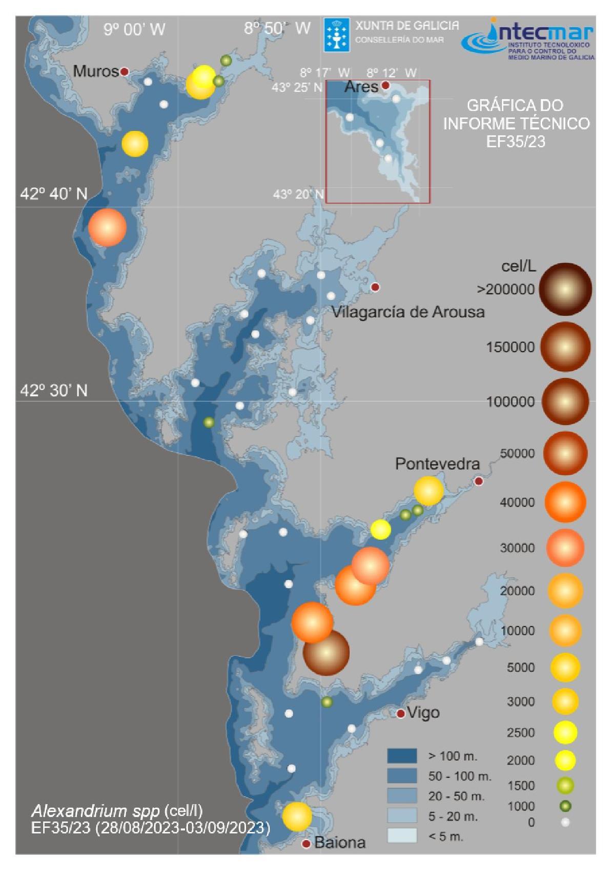 Gráfica que muestra la evolución de las células de Alexandrium, el dinoflagelado causante de la toxina paralizante (PSP). Cuanto más oscuros y grandes son los círculos, mayor es su acumulación. // Intecmar