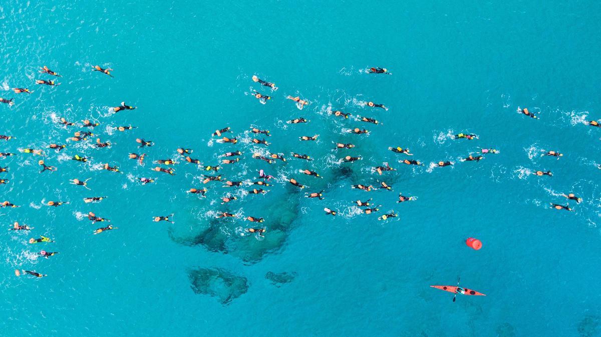 Imagen aérea de los nadadores en plena competición