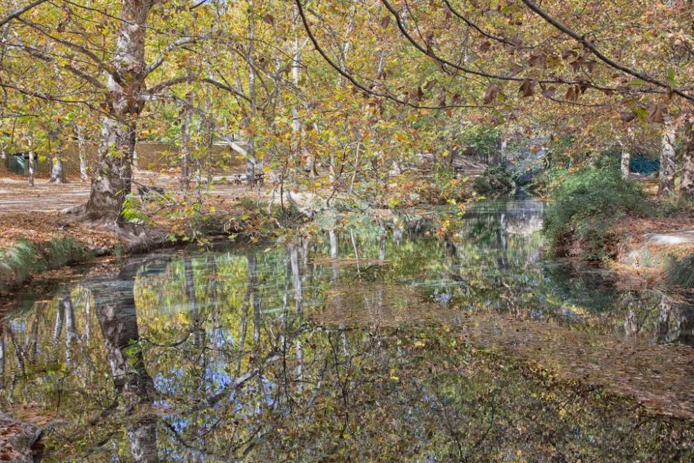 Fuentes del Marques: El otoño nace en Caravaca