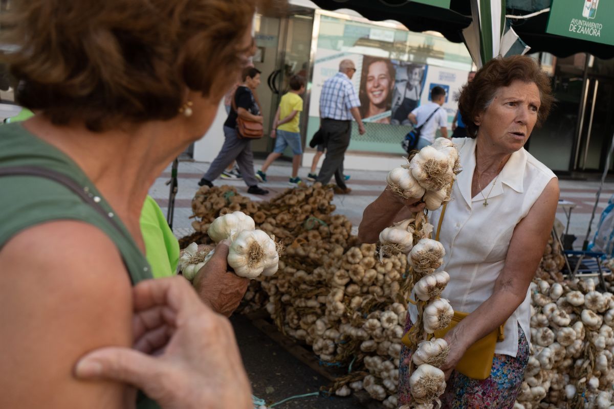 El día en imágenes: Zamora se mueve al ritmo de la fiesta callejera