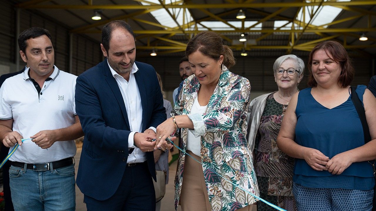 Lo mejor del campo asturiano se cita en Pravia: así se celebra el Festival de la Huerta