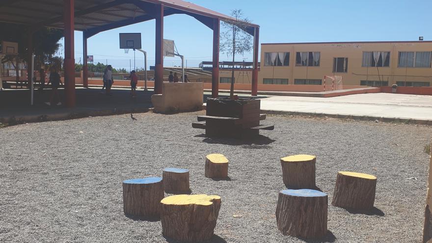 Tres fundaciones  impulsan un proyecto para plantar árboles en los colegios