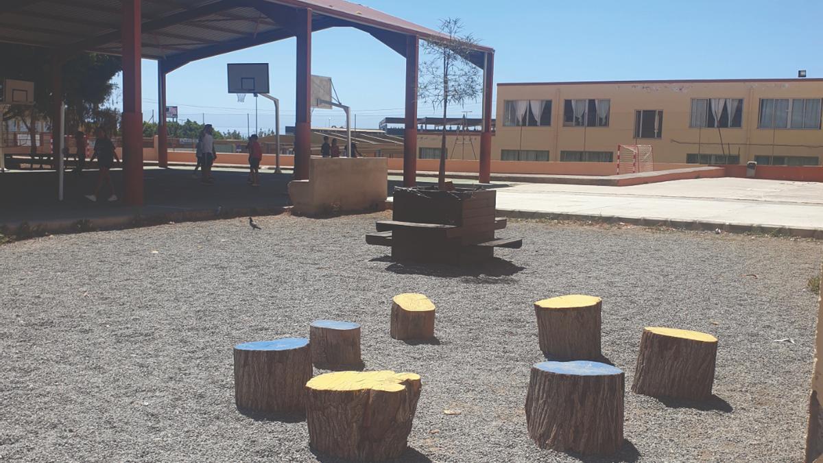 Tres fundaciones impulsan un proyecto para plantar árboles en los colegios