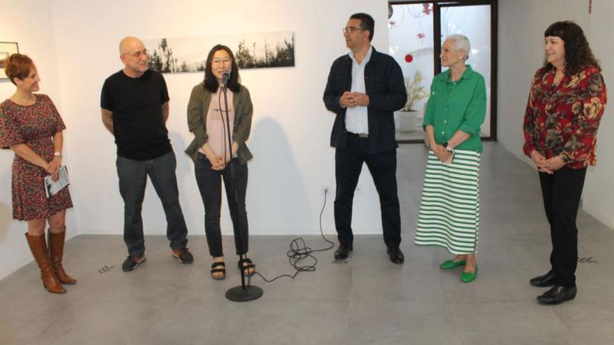 Una de las exposiciones que se abrió ayer fue la de la artista china Ren Bo. | MEDITERRÁNEO