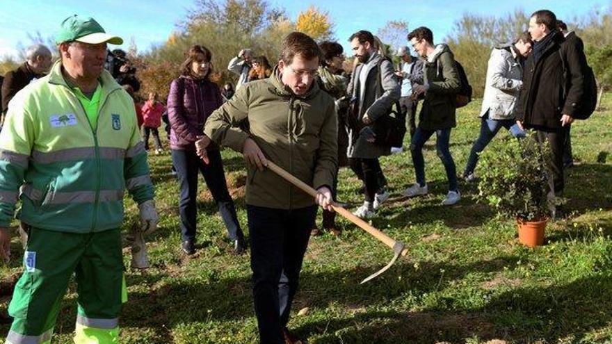 Madrid volverá a plantar un árbol por cada niño que nazca