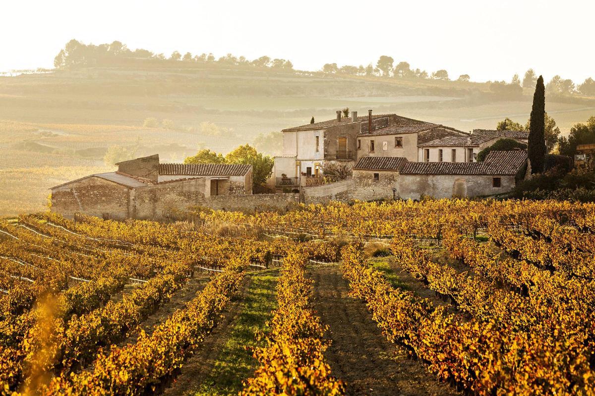 Paraje perteneciente a la bodega Vins El Cep.