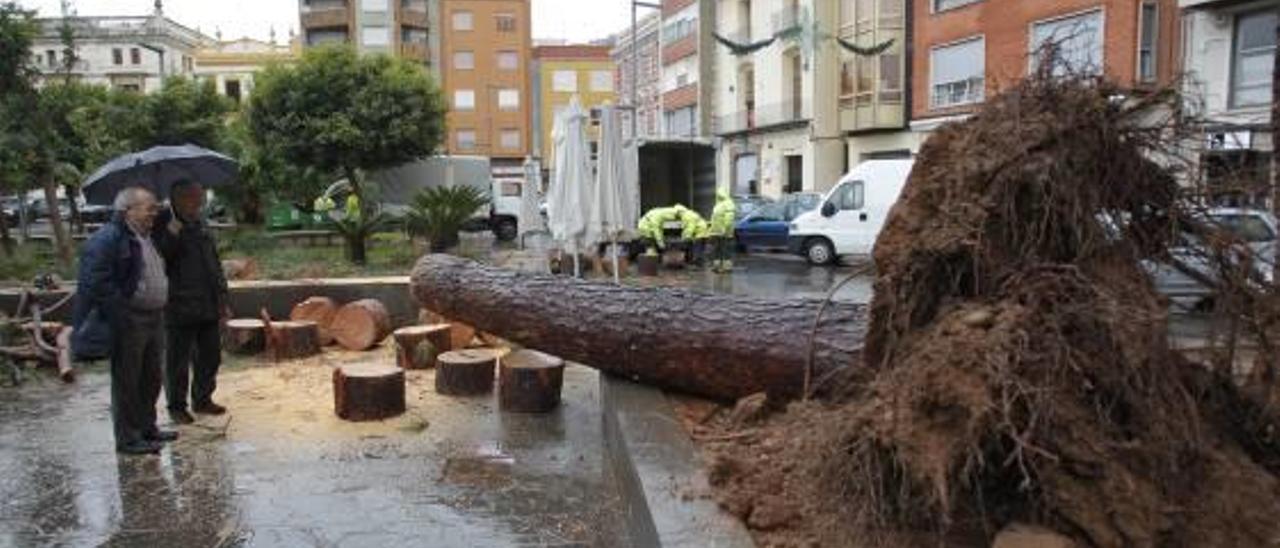 Efectos de los temporales en la comarca durante 2016.