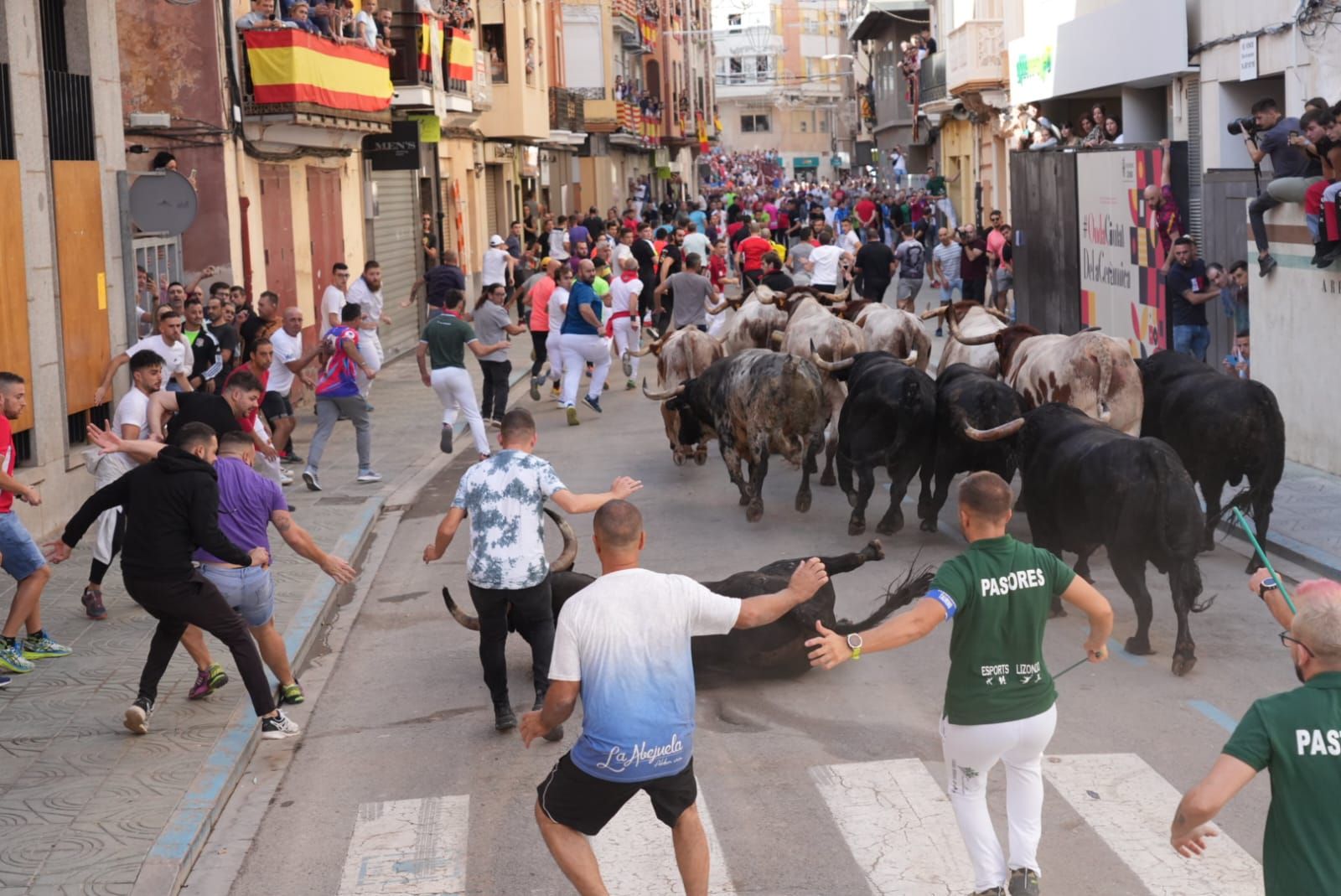 Las mejores imágenes del encierro de  Couto de Fornilhos y Santa Teresa en Onda