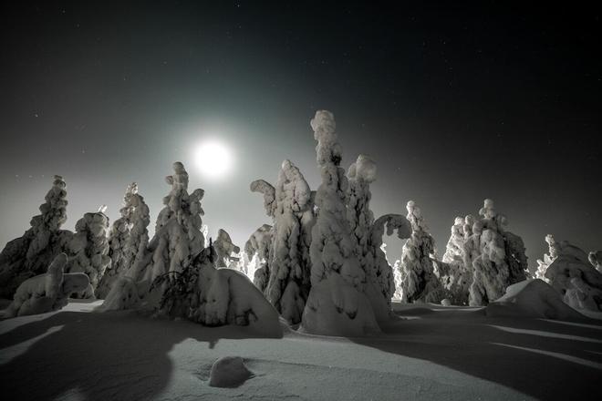 La noche invernal en Laponia es casi eterna