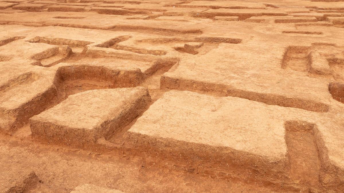 Detalle de las excavaciones.