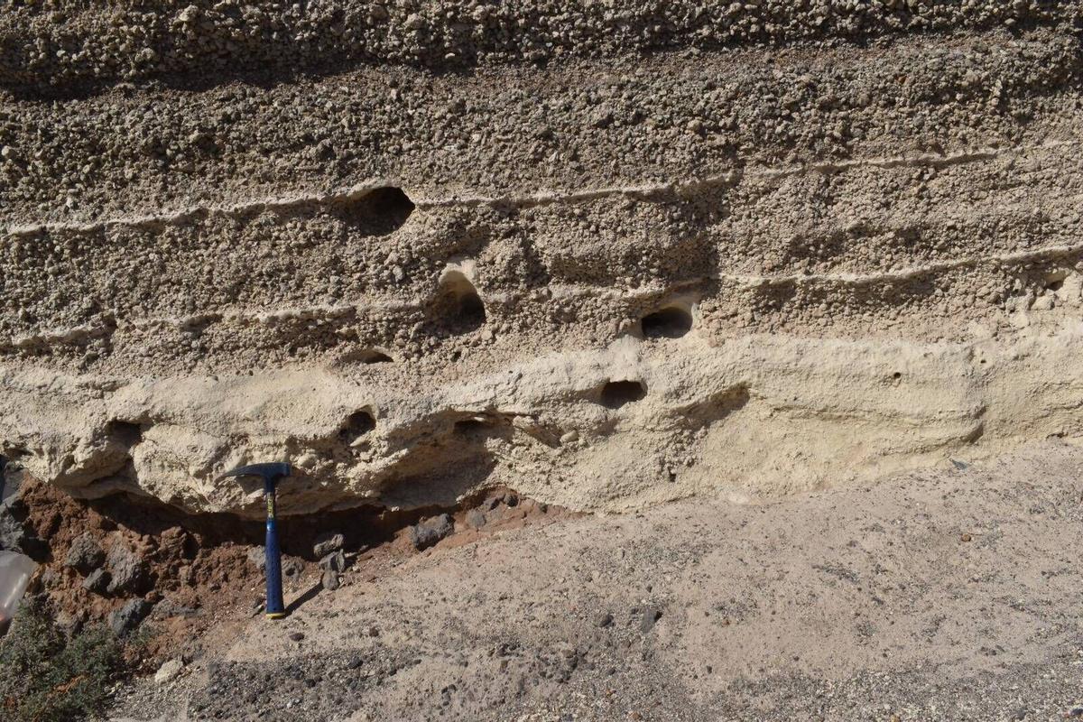 Yacimiento paleontológico de las bandas del sur en Tenerife, ubicado entre Güímar y Arico