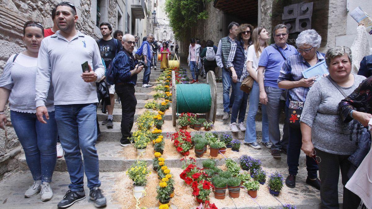 Temps de Flors 2022 a Girona: programa, horaris i entrades per al festival Temps de Flors 2022 a Girona: programa, horaris i entrades per al festival