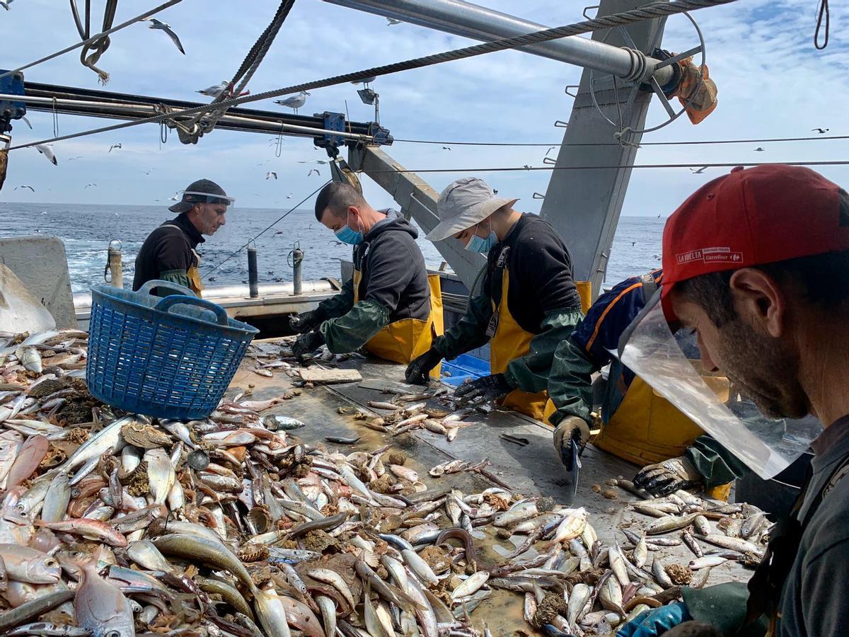 El informe cuantifica beneficios y perjuicios de la pesca de arrastre de fondo