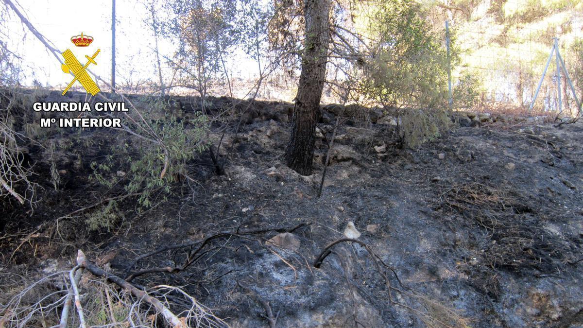 Masa forestal quemada por el incendio de Bullas del pasado 4 de julio.