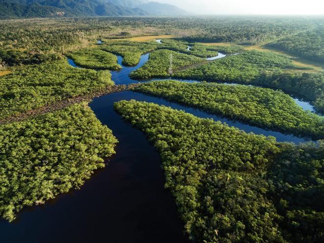 Selva tropical, Brasil, Camino de Santiago