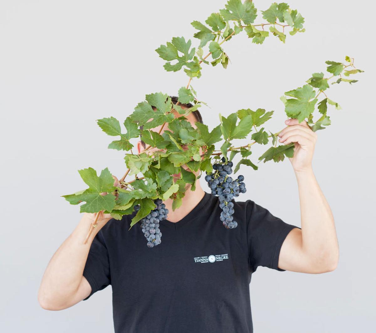 Variedad escursac
