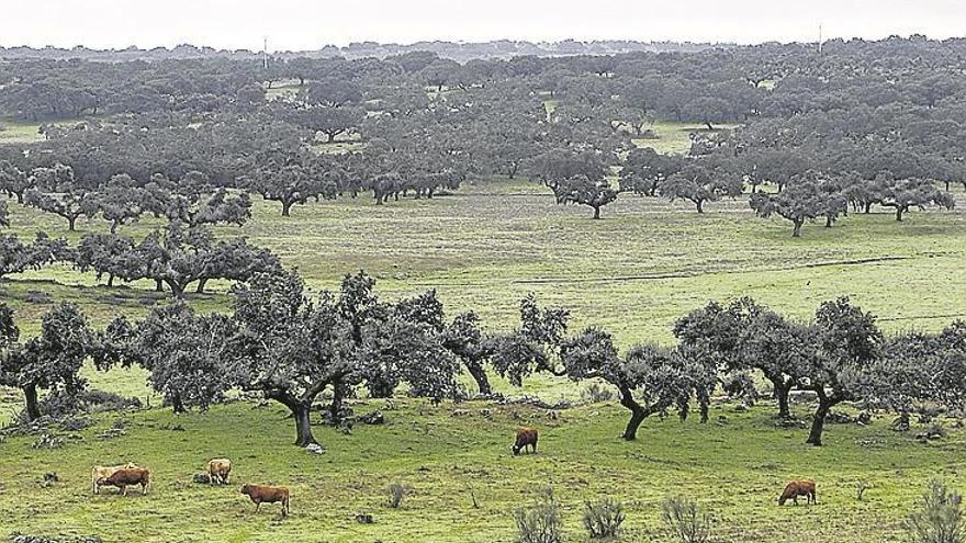 Los logrosanos, en una jornada de multiaventura