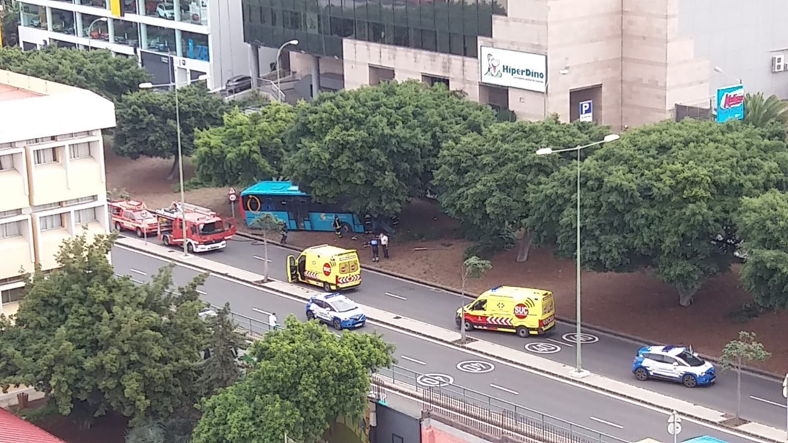 Una guagua se estrella contra un árbol en Gran Canaria