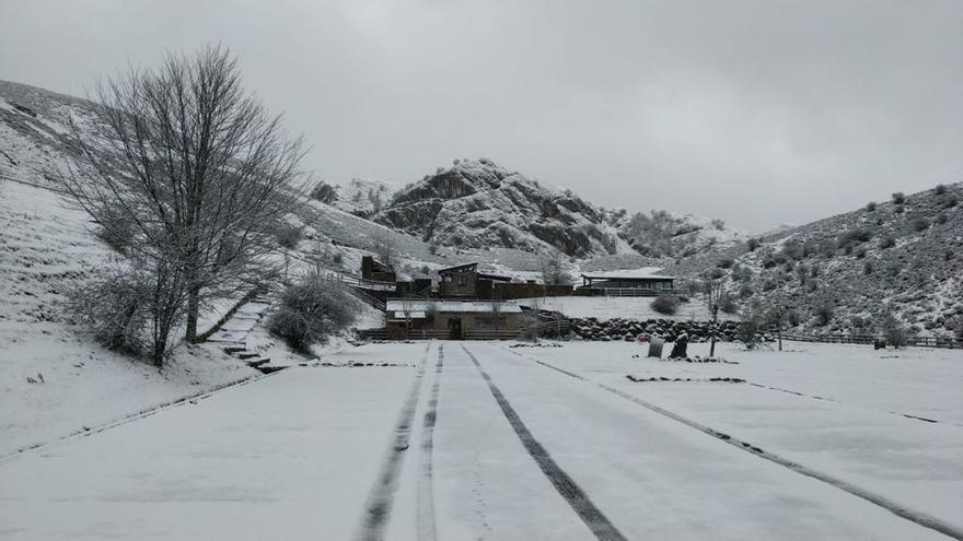 Nevada en Buferrera (Cangas de Onís).