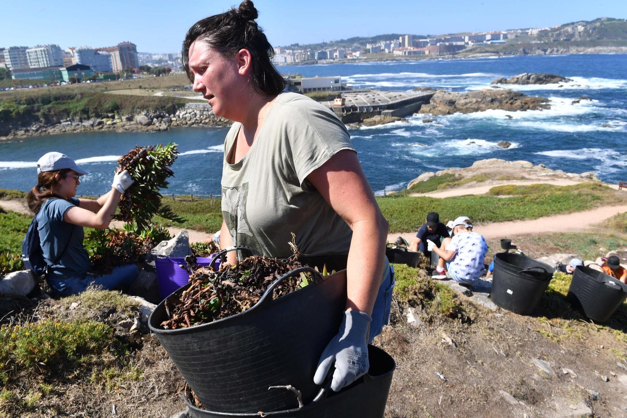 Lucha contra las especies invasoras en la Torre