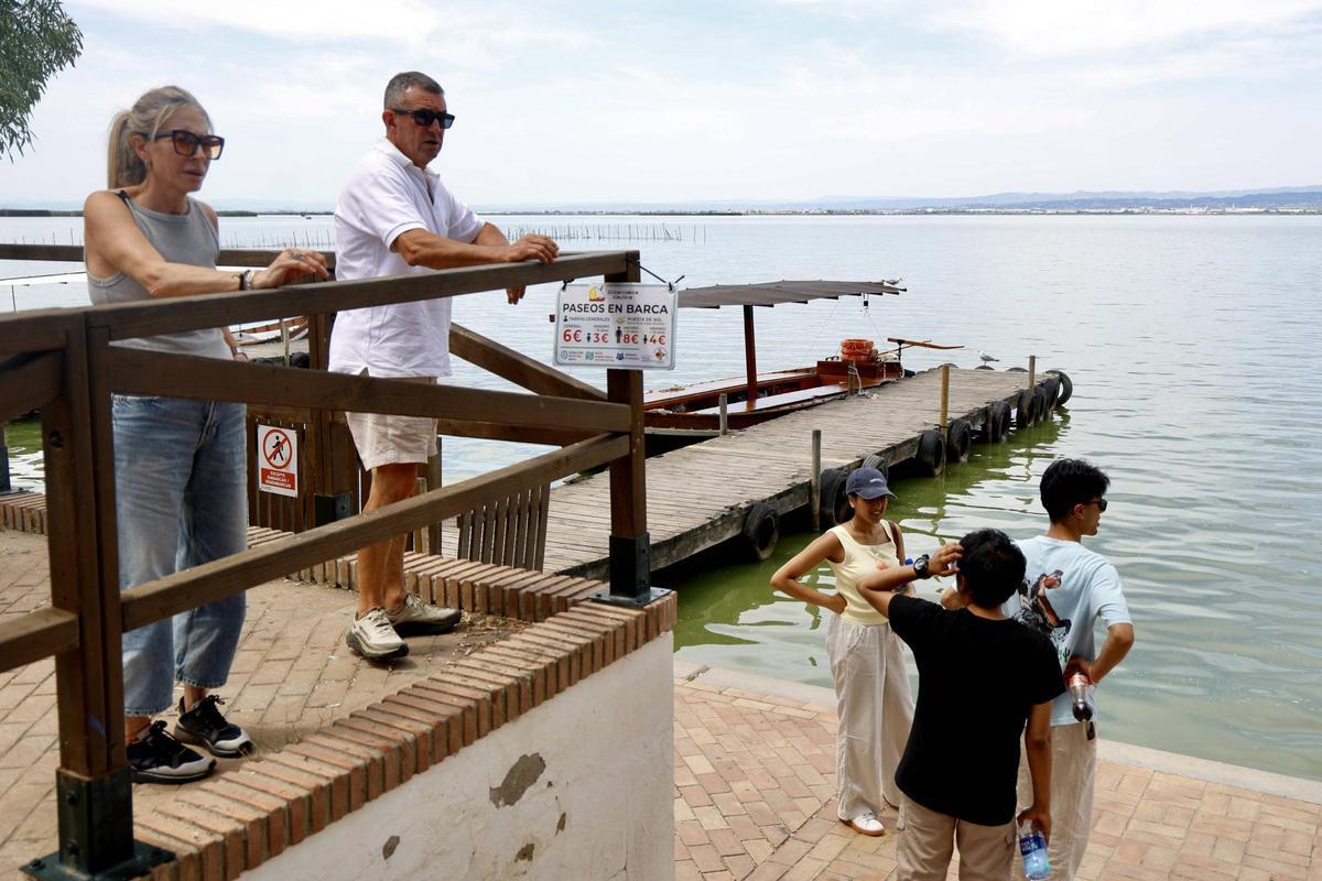 La salinización avanza en l'Albufera