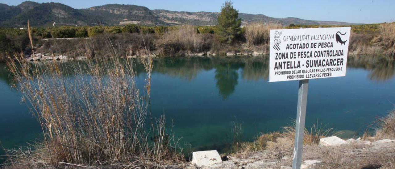 La Federación de Pesca exige la &#039;captura y suelta&#039; de carpas y truchas