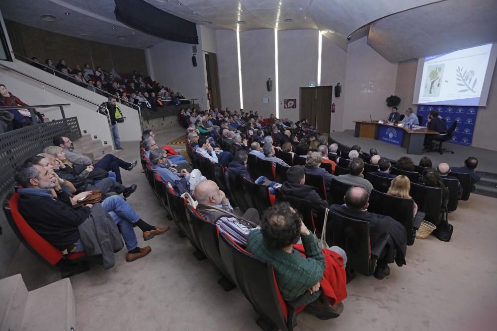 Debate Club DM: "Xylella fastidiosa: ¿la filoxera del segle XXI?"