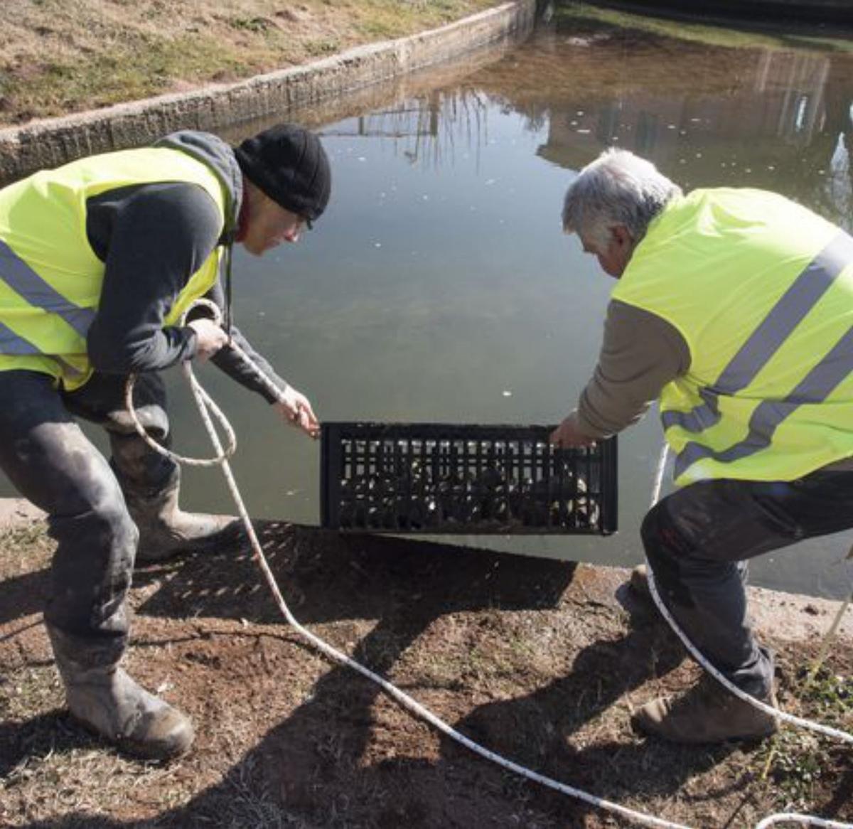 A la caça de nàiades al llac de l’Agulla