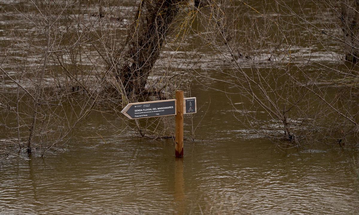 Zona del merendero de Somontes, en El Pardo, completamente anegada esta mañana por la crecida del río Manzanares.