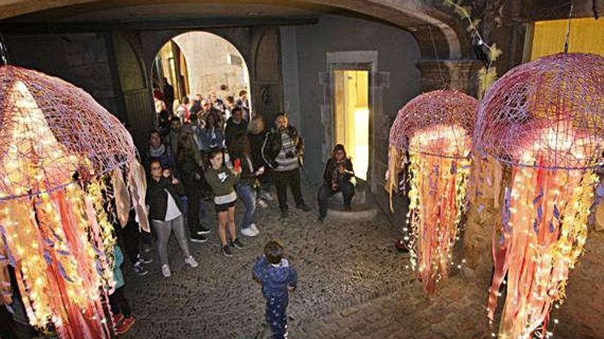 Una de les obres de Temps de Flors, il·luminada de nit.