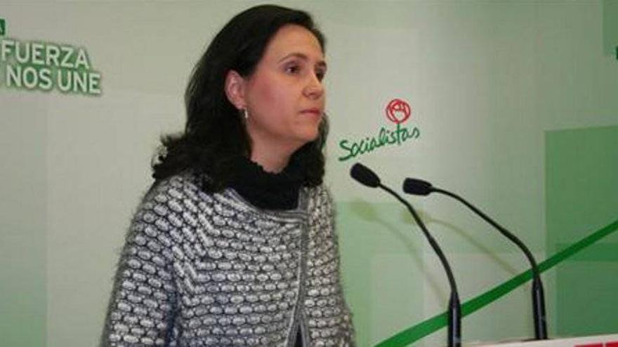 El PSOE achaca al PP &quot;doble vara de medir&quot; ante las necesidades de Los Pedroches