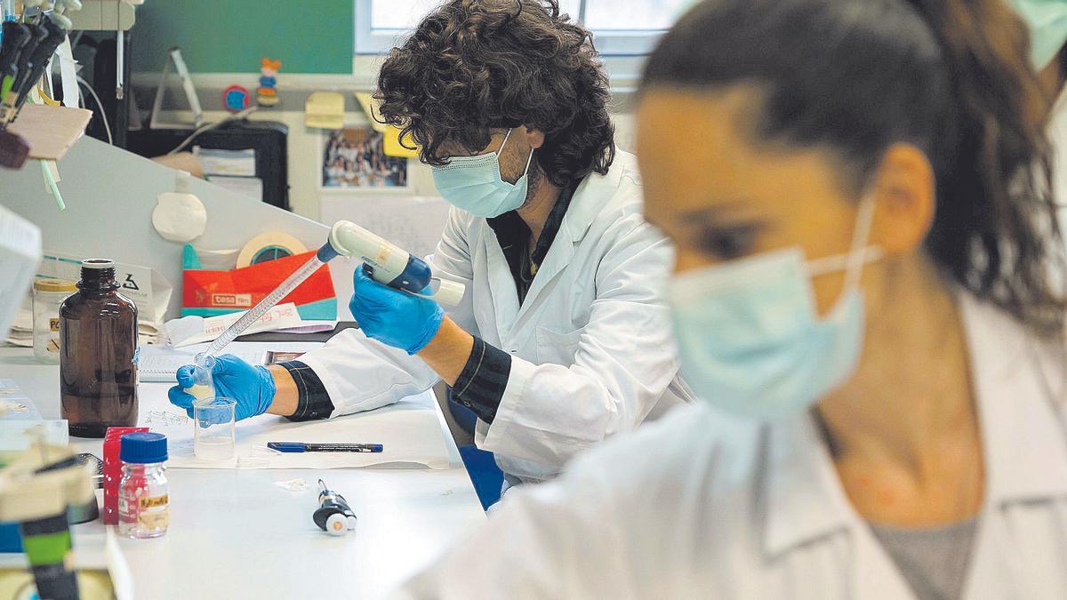 Dos investigadores del Instituto de Biología y Genética Molecular de la Universidad de Valladolid.