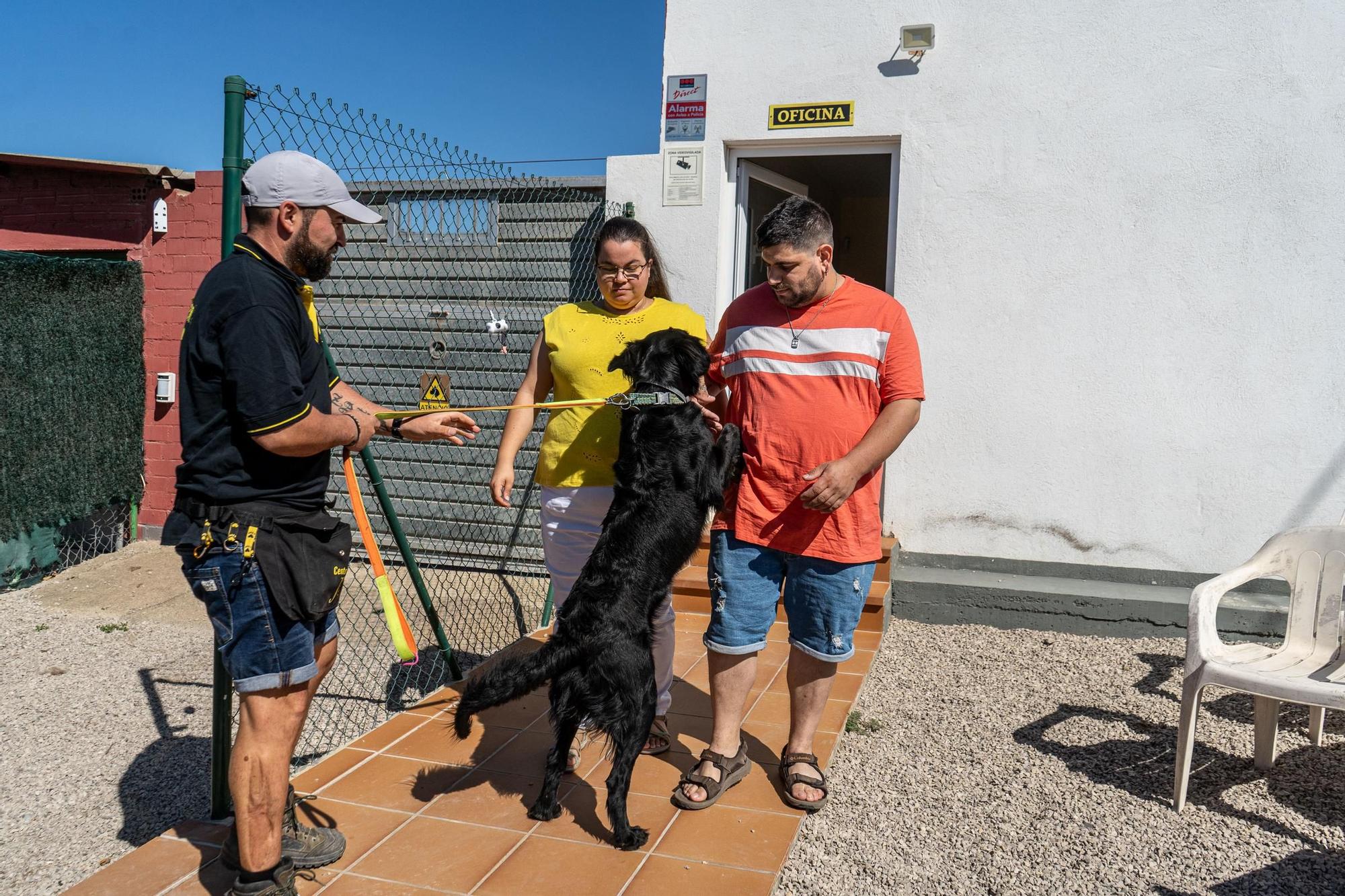 Residències canines: Centre Caní Jonatan Zafra, a Sant Fruitós de Bages