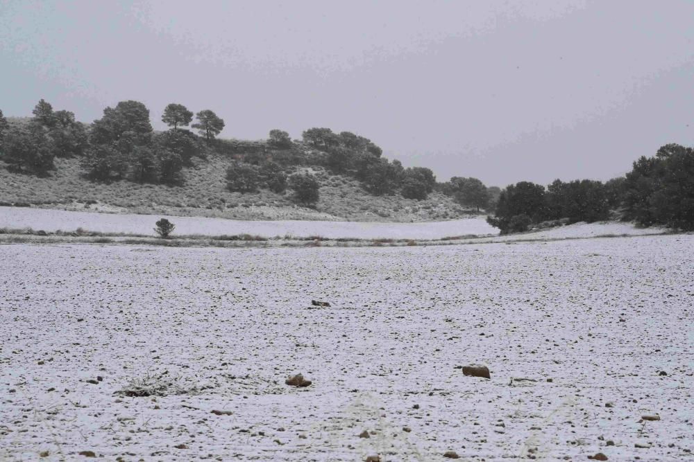 Nieve en Coy, Lorca