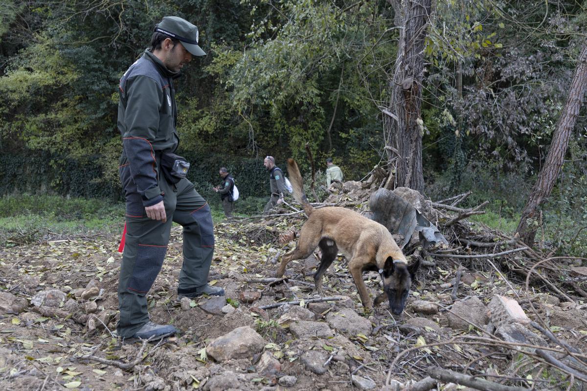 El Cuerpo de Agentes Rurales del Departamento de Interior y Seguridad Pública muestra cómo se trabaja con los agentes caninos en la localización de ejemplares de jabalí