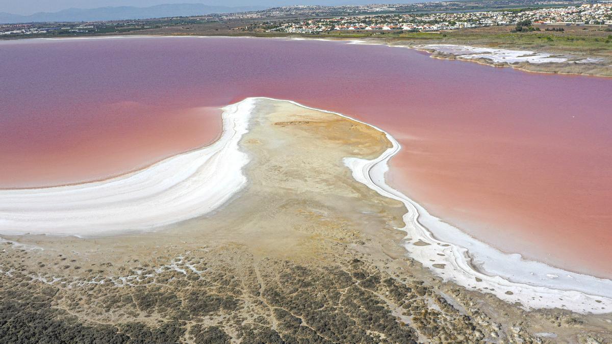 La laguna de Torrevieja recupera el rosa un año después